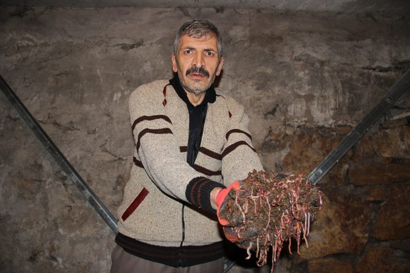 Osman Çakmak