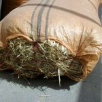 9 Adımda İstiridye Mantarı Nasıl Yetiştirilir? (Düşük İmkanlar) malzeme1