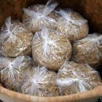 9 Adımda İstiridye Mantarı Nasıl Yetiştirilir? (Düşük İmkanlar) malzeme1