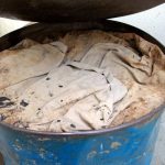 9 Adımda İstiridye Mantarı Nasıl Yetiştirilir? (Düşük İmkanlar) pastörize3