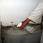 9 Adımda İstiridye Mantarı Nasıl Yetiştirilir? (Düşük İmkanlar) temizlik