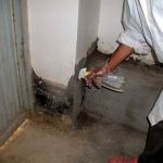 9 Adımda İstiridye Mantarı Nasıl Yetiştirilir? (Düşük İmkanlar) temizlik