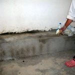 9 Adımda İstiridye Mantarı Nasıl Yetiştirilir? (Düşük İmkanlar) temizlik