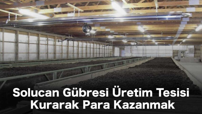 Solucan Gübresi Üretim Tesisi Kurarak Para Kazanmak